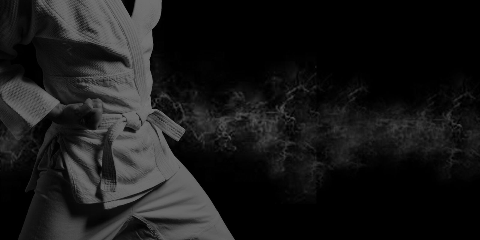 Learn More About Martial Arts From USAdojo.com